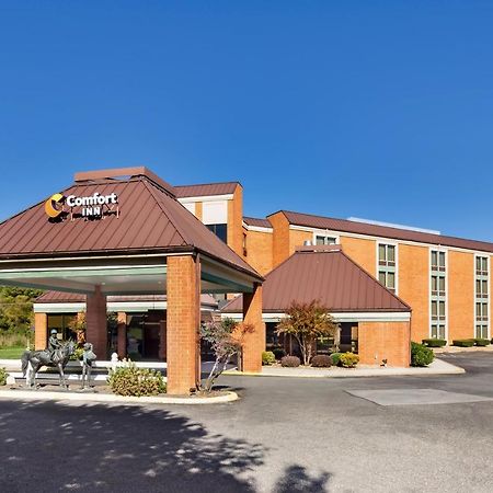 Comfort Inn Virginia Horse Center Lexington Buitenkant foto